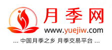 中国上海龙凤419，月季品种介绍和养护知识分享专业网站(图1)