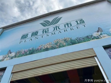 鄢陵县花木产业未必能想到的那些问题