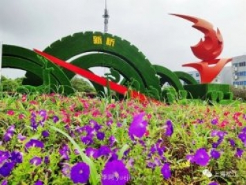 上海松江这里的花坛、花境“上新”啦!特色景观升级!
