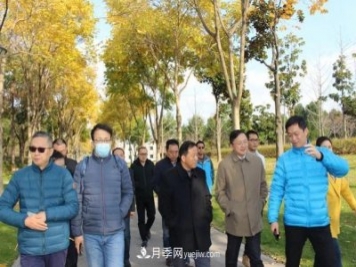 提升城市园林绿化，苏州向上海学什么？